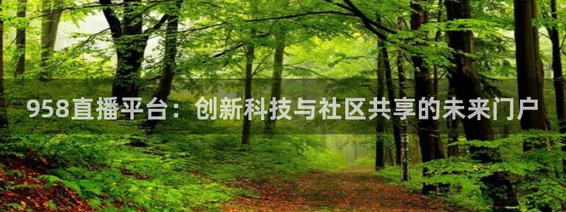 958直播平台：创新科技与社区共享的未来门户