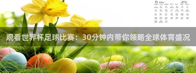 观看世界杯足球比赛：30分钟内带你领略全球体育盛况
